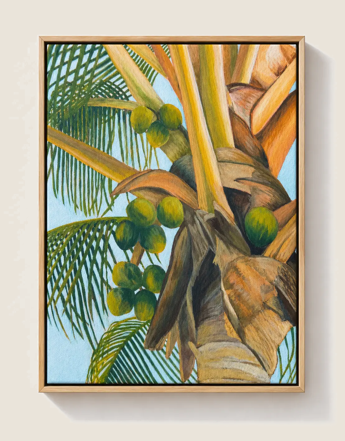 Coconut Tree