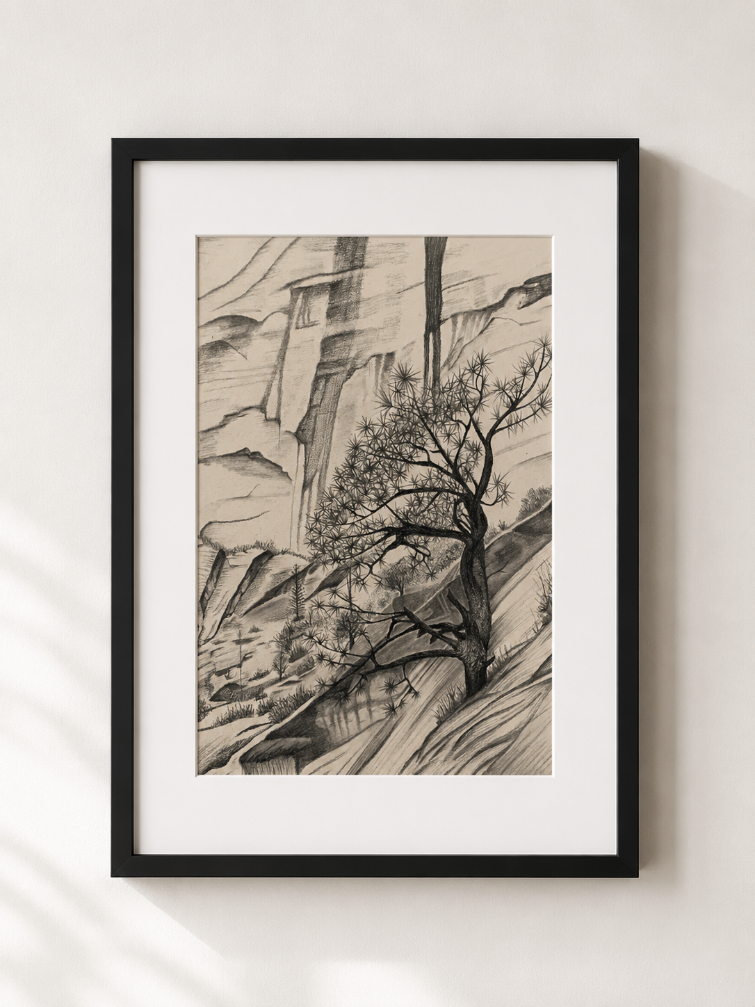 Cliffside Pine